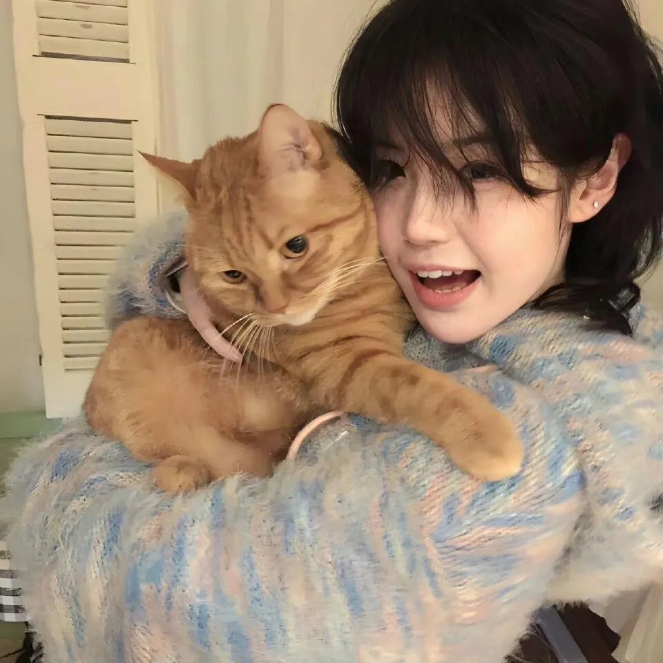 状元及第