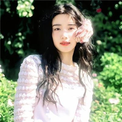鸟类之战